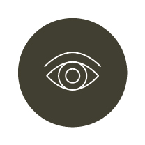 04256-1.2 WTBD Icons ALL_Icon-Focus of Inquiry Circle