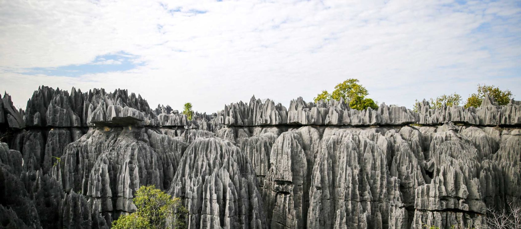 Summer Travel Abroad Madagascar Where There Be Dragons