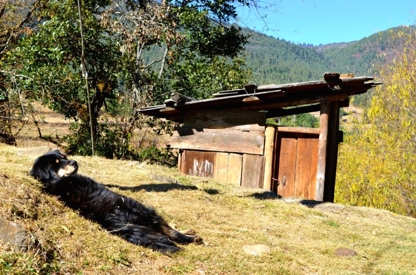 Bhutan_2017_Chelsea Ferrell_090Village Life 1