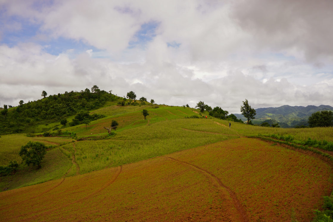 High School Summer Abroad in Myanmar