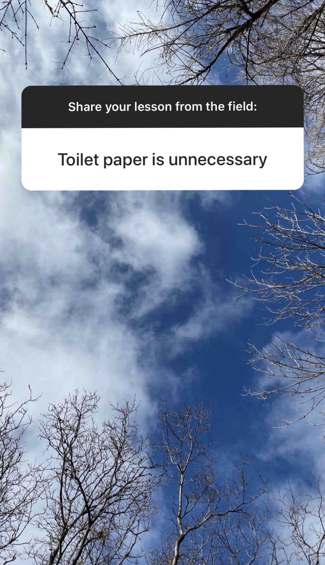 toilet paper challenge instagram Morocco World News