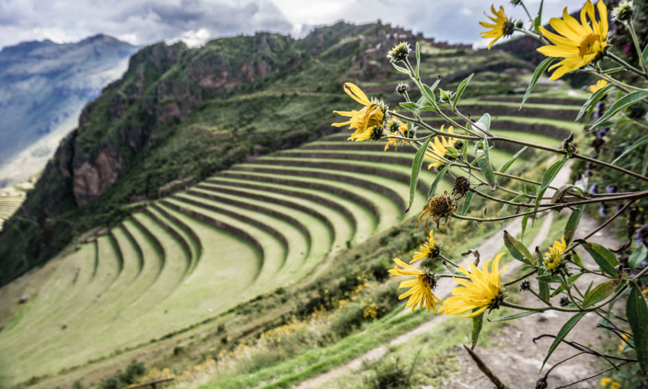 Peru_ADULT_2019_Japhy-Dhungana_014_1000x600