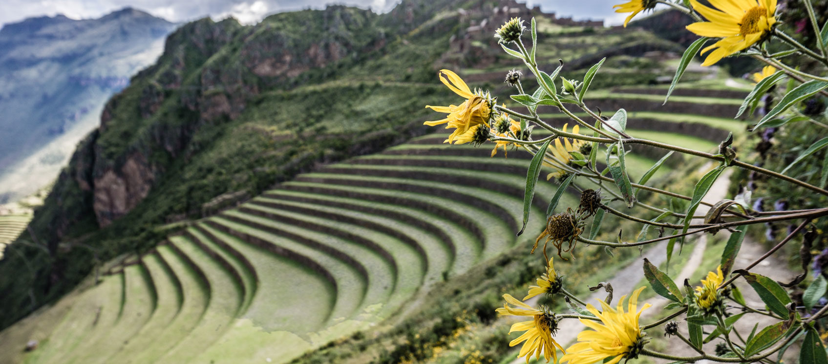 Peru Travel Program