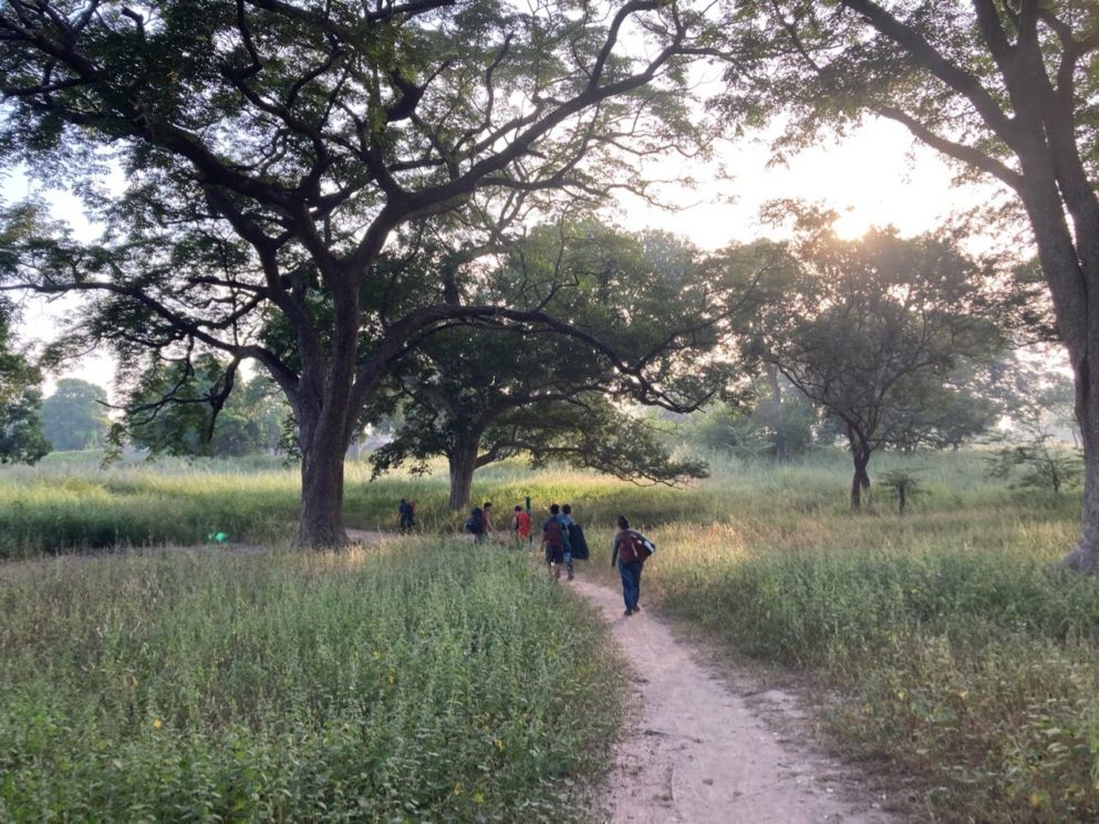 Group of people walking outside below a big tree