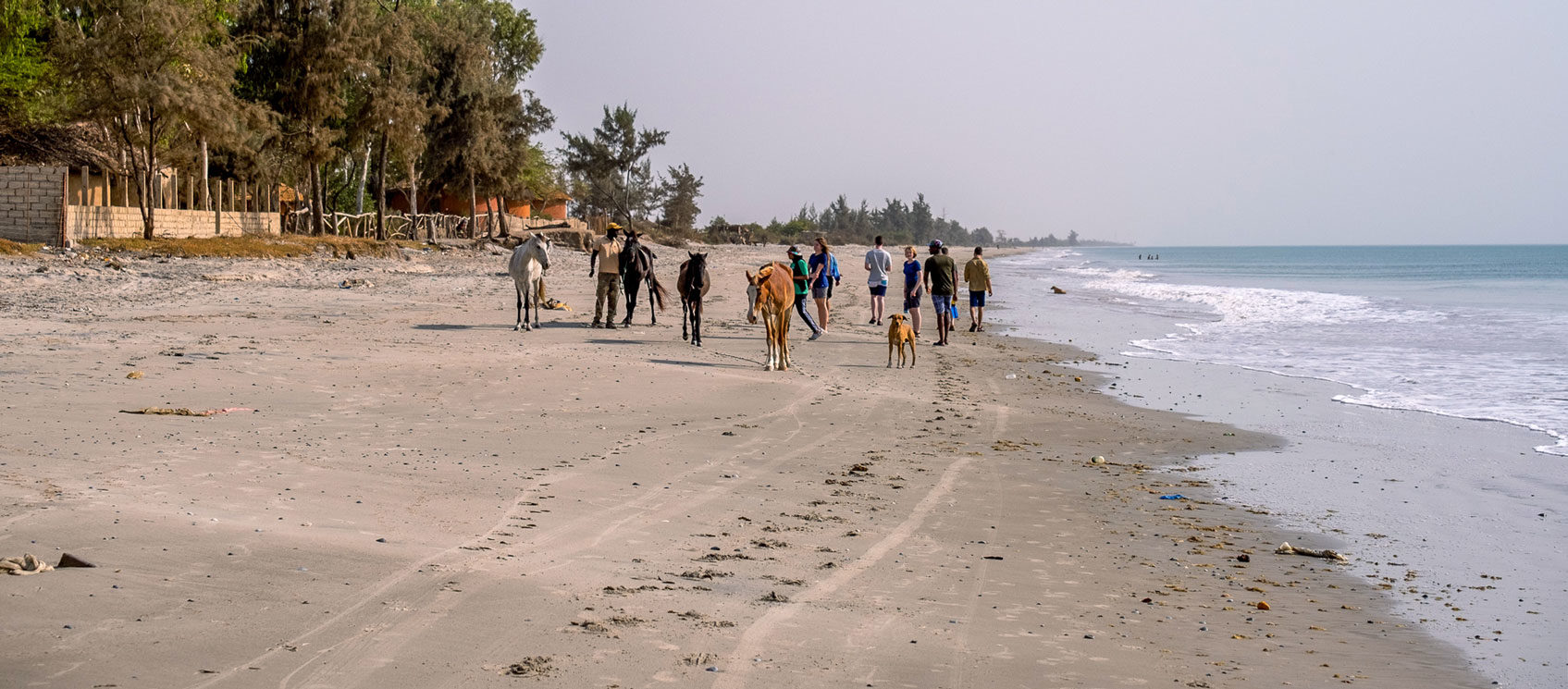 Senegal Travel Abroad