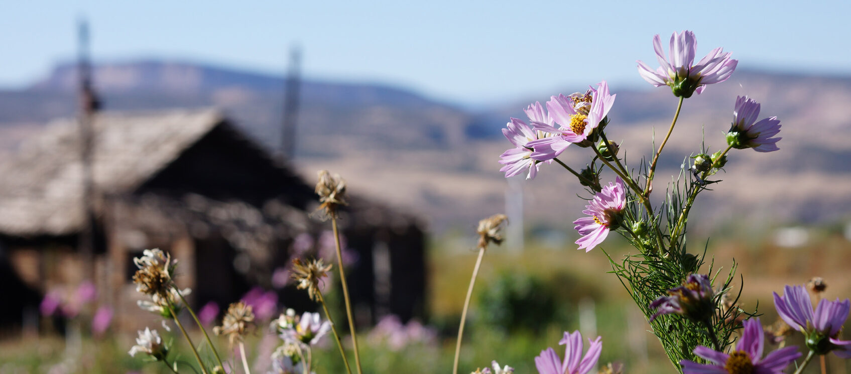 farm in Paonia, Colorado