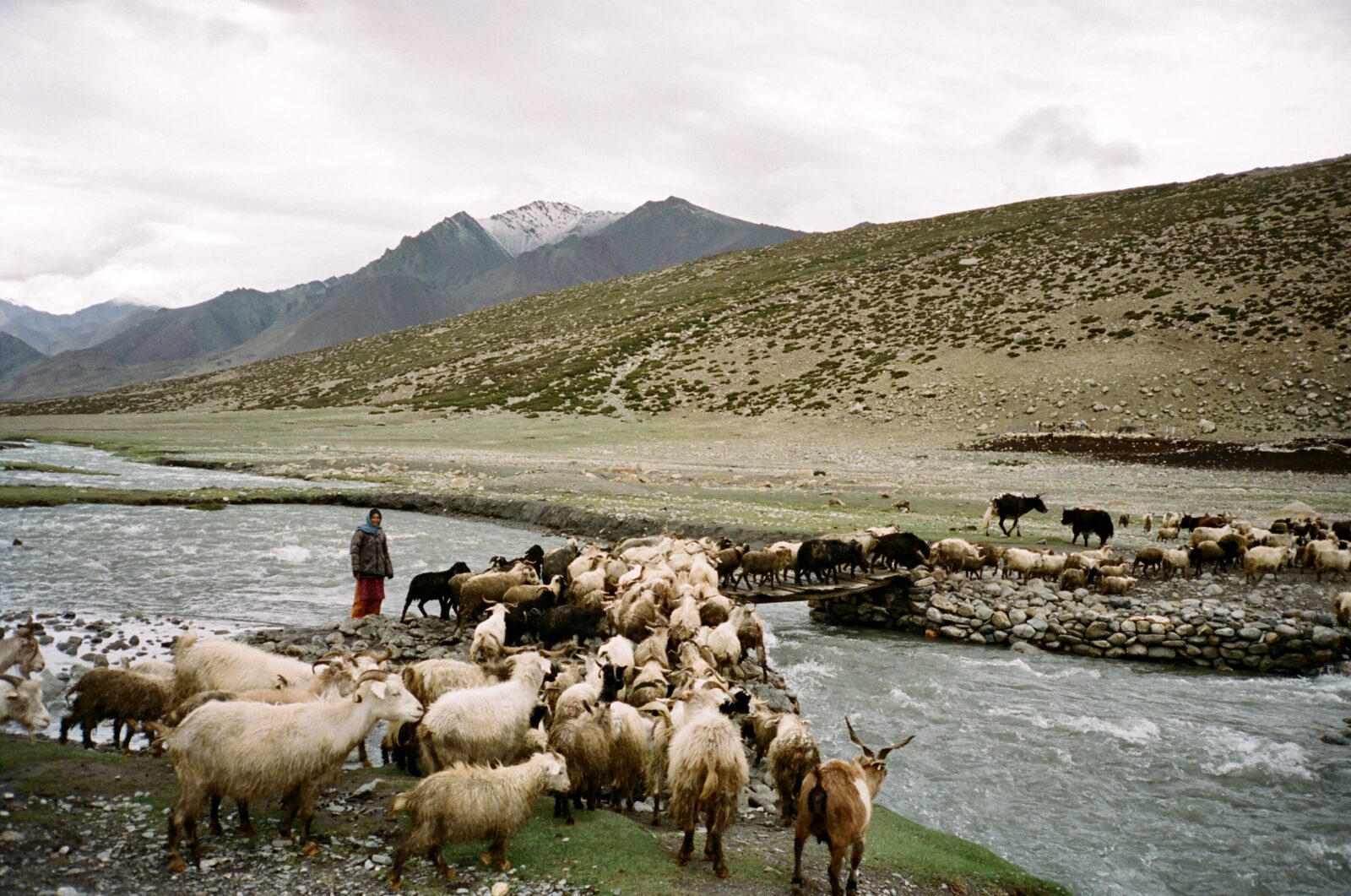 North India_4wk_PC_Summer 2018_Penelope Thornton_06