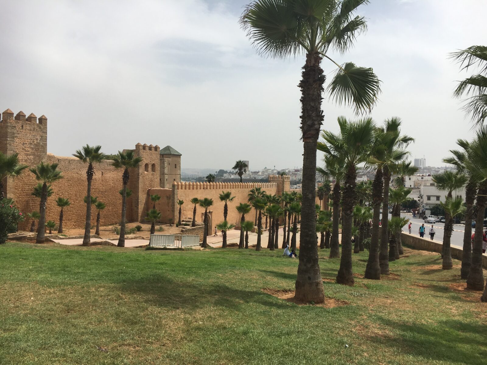 Morocco_2018_Cara Lane-Toomey_04
