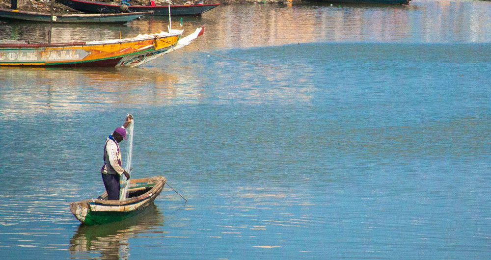 Senegal Travel Program