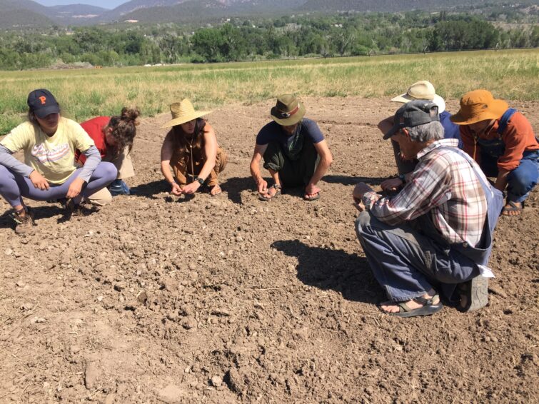 people crouched down in the dirt